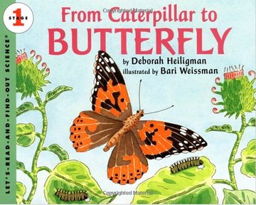 英文绘本：From Caterpillar to Butterfly