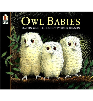 英文绘本：OWL BABIES